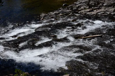 DSC_3600 (Large).JPG